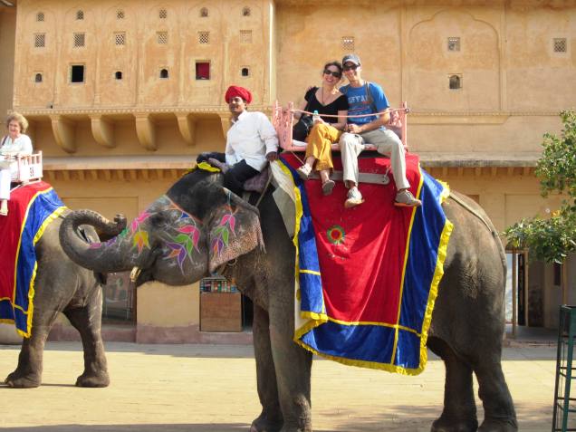 elephant safari in jaipur