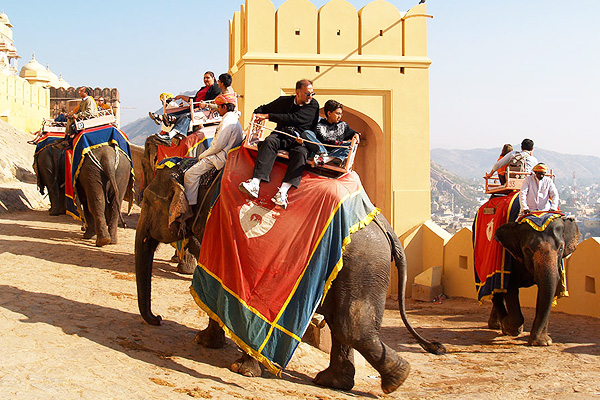 elefant ride in jaipur