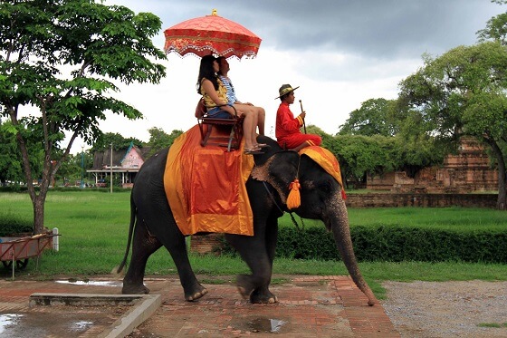 elephant ride in jaipur